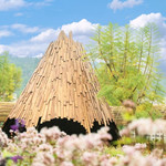 寒武纪小镇·好玩植物园