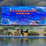 商丘圣嘉极地海洋世界