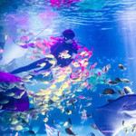重庆海洋世界