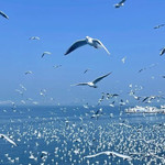 海埂大坝
