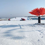 发财猫冰雪乐园