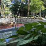 七仙岭中南温泉酒店