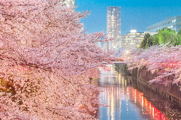 4天3晚·东京自由行