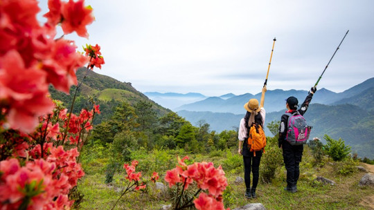 新兴天露山旅游度假区门票