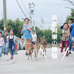 桃园山脚鹿场水鹿之家