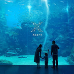 Xpark 水族馆