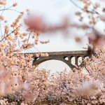 樱桃沟景区
