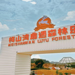 梅山湾鹿遇森林公园