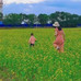 麦小帅
