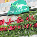 中国古动物馆(保定自然博物馆)