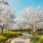 有田欢乐农场