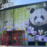 熊猫星球沉浸式光影大展北京馆