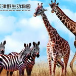 天津野生动物园