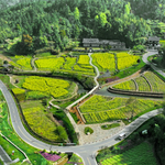 陈门五杰故里景区