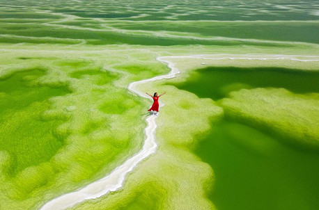 8天7晚·西北风向标·8人封顶+全程4钻酒店+茶卡盐湖+莫高窟+翡翠湖