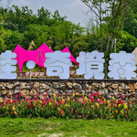 诗蛙•奇境森林