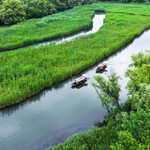 西溪国家湿地公园