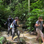 江山之恋雨林徒步