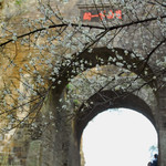梅关古道