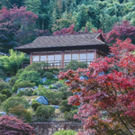上渚山奇幻谷