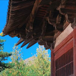 忻州佛光寺