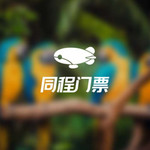 观鸟园