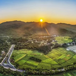 国家田园和美乡村