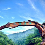 霖溪林风景区