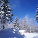 雪乡十里冰雪画廊