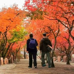 京娘湖景区