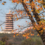 牛首山文化旅游区