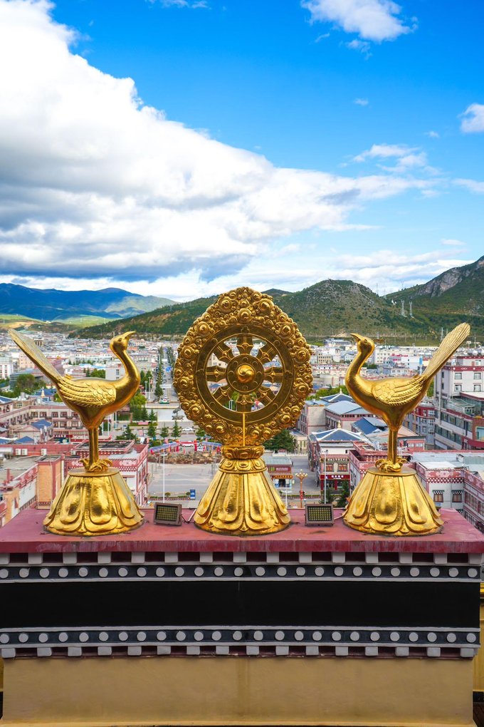 【迪庆验客】云南旅行｜在迪庆寻访堪比大熊猫的滇金丝猴 - 香格里拉县游记攻略【同程旅游攻略】