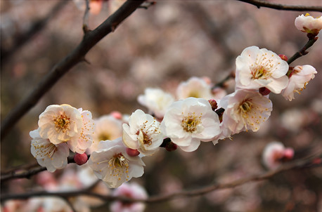 3天2晚·南京自由行