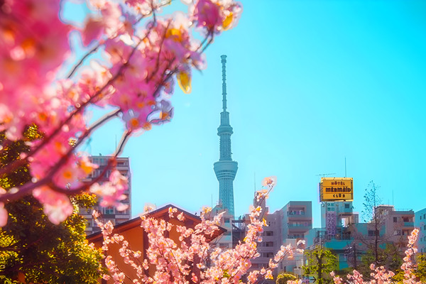 7天6晚·大阪+东京自由行