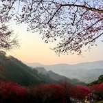 翠墨庄园