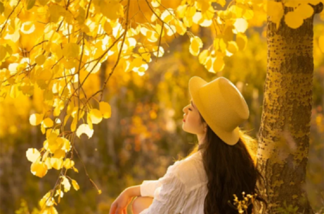 6天5晚·昆明+芒市+瑞丽+腾冲 滇西北自由行 | 边境小城的奇妙旅程