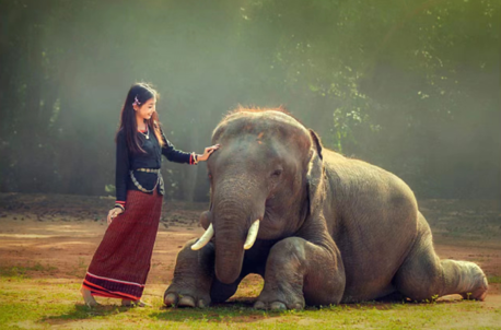 6天5晚·西双版纳+普洱+澜沧+景迈山+糯干古寨+野象谷自由行