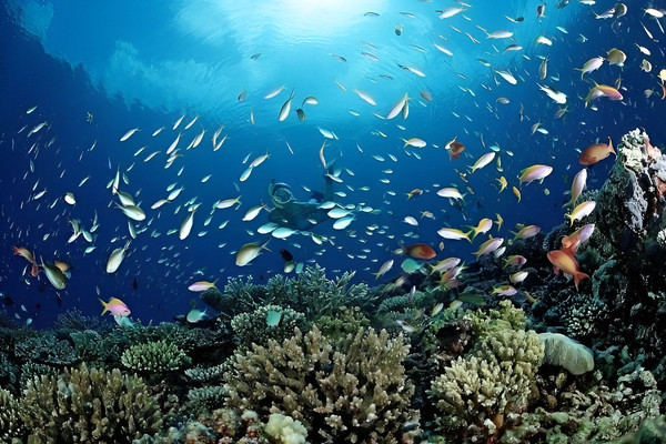 6天5晚·普吉岛+皮皮岛+青蛙夜市半自助游