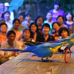 绿世界生态农场
