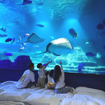 花莲远雄海洋公园:海洋夜未眠・夜宿水族馆・住宿体验
