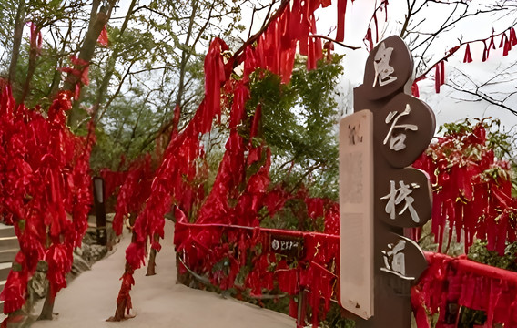 1天&middot;张家界天门山国家森林公园跟团游