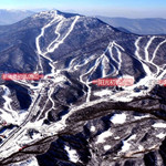 亚布力新体委滑雪场