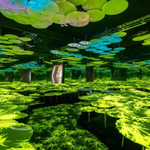 珠海巡光光影艺术空间馆