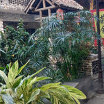 螺岗小镇