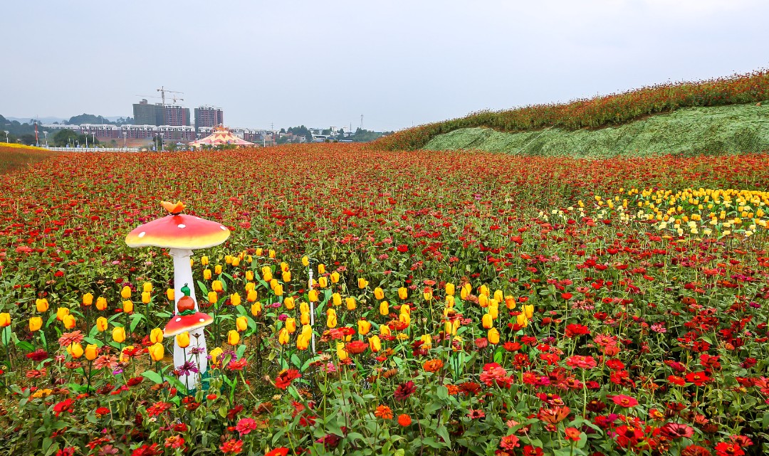 09:30-20:00(具体开放时间以景区景点地址:湖南省郴州市永兴县的长鹿