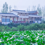 襄阳荷花湖旅游景区