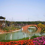 湛江市阳光玫瑰生态园