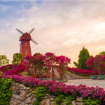 英山四季花海景区