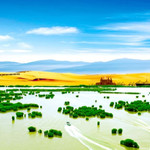 宁夏沙湖生态旅游区