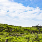云冰山旅游景区